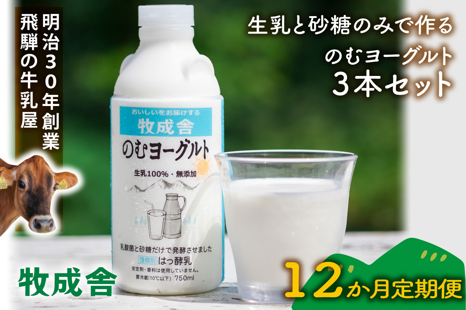 【定期12か月便】牧成舎のむヨーグルト750ml×3本セット｜ヨーグルト 乳飲料 朝食 毎日飲料 定期便 牧成舎 DF211