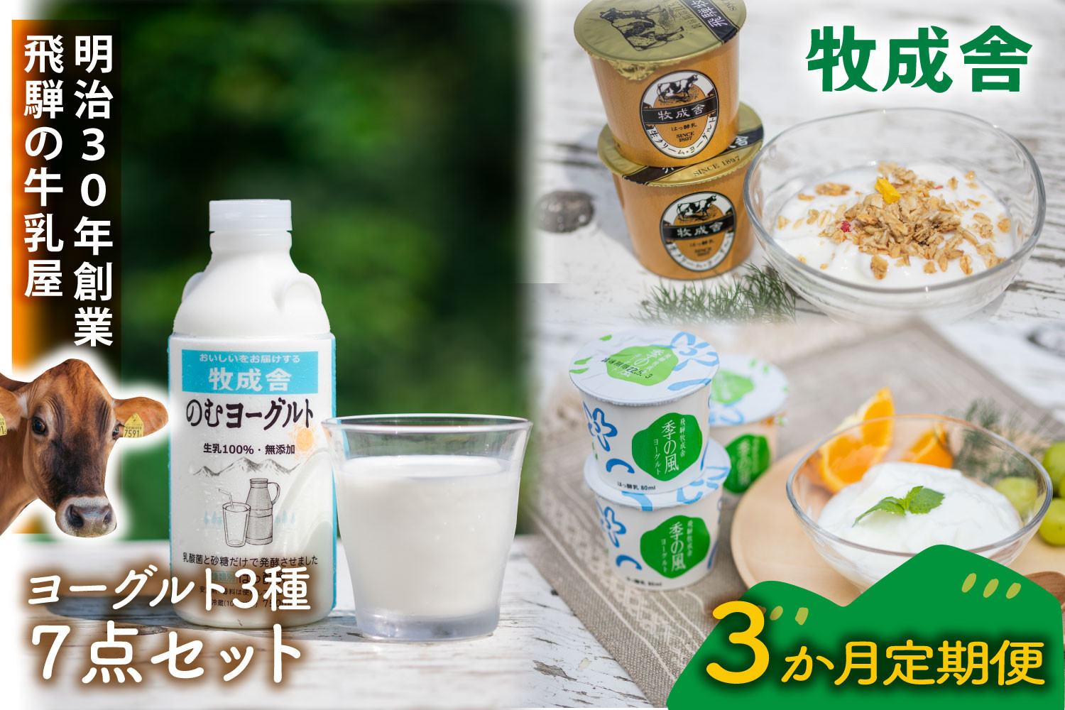 【3か月定期便】牧成舎のヨーグルト3種食べくらべセット｜ヨーグルト 乳製品 デザート 朝食 食生活 牧成舎DF212