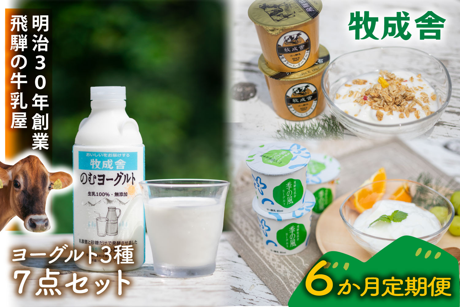 【6か月定期便】牧成舎のヨーグルト3種食べくらべセット｜ヨーグルト 乳製品 デザート 朝食 食生活 牧成舎DF213