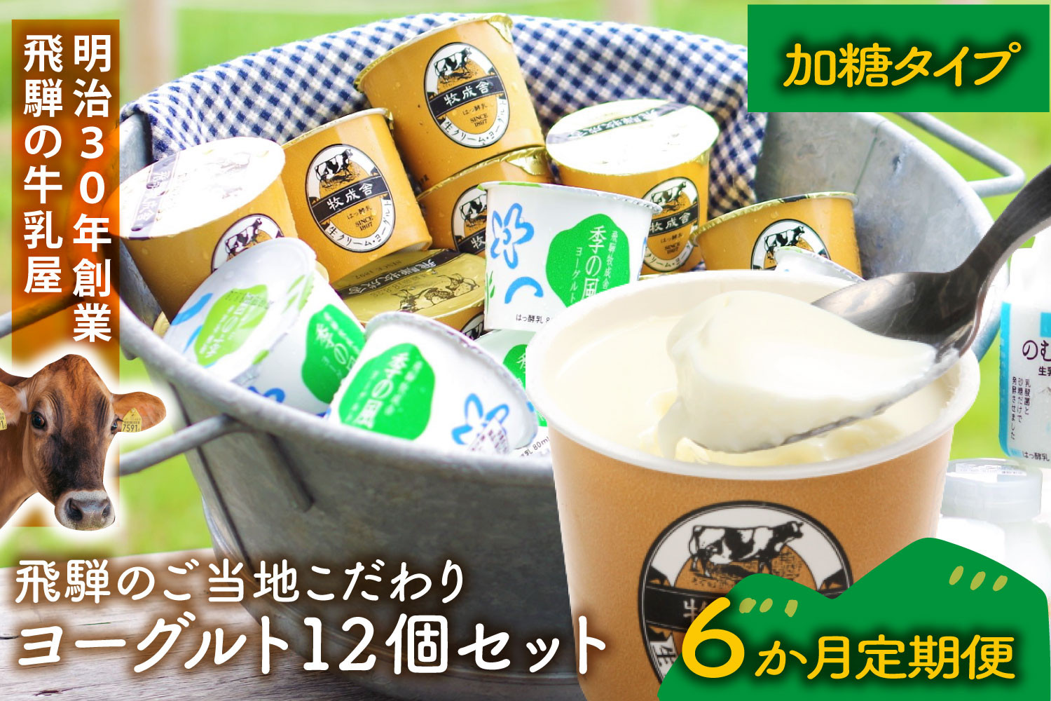 【定期6か月便】牧成舎のヨーグルトたっぷり12個セット（加糖2種×各６）DF217