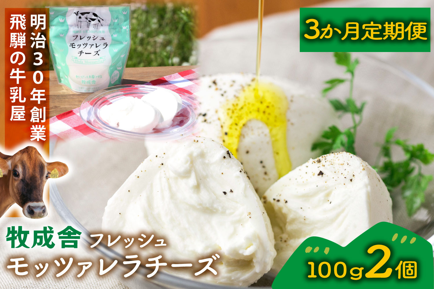 【3か月定期便】牧成舎のフレッシュモッツァレラチーズ2個 (有)牧成舎 DF220