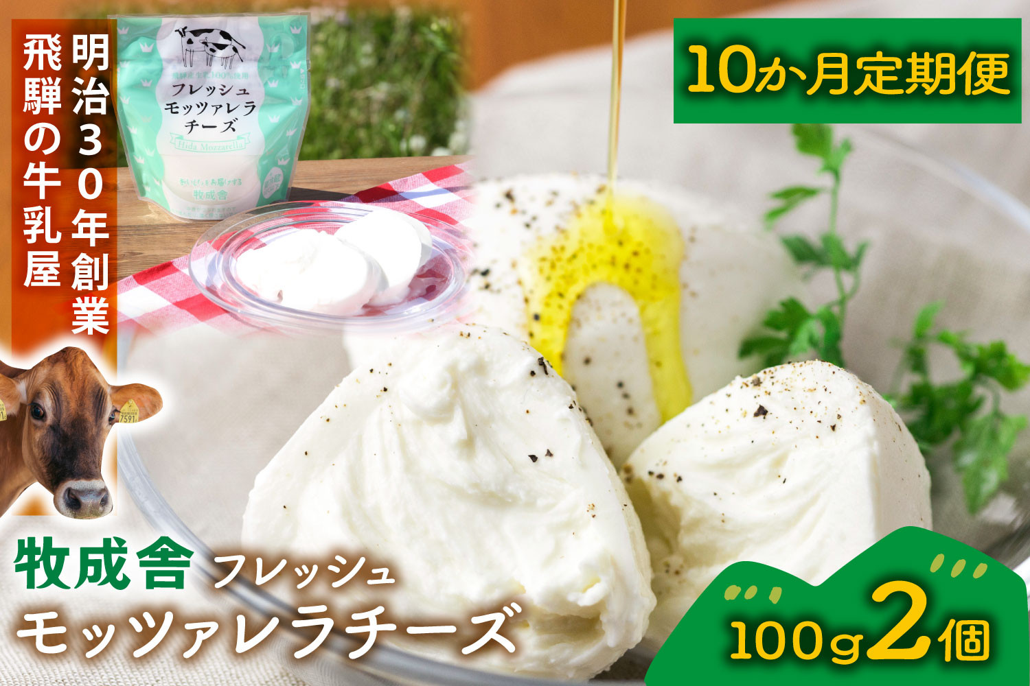 【10か月定期便】牧成舎のフレッシュモッツァレラチーズ2個 (有)牧成舎 DF222