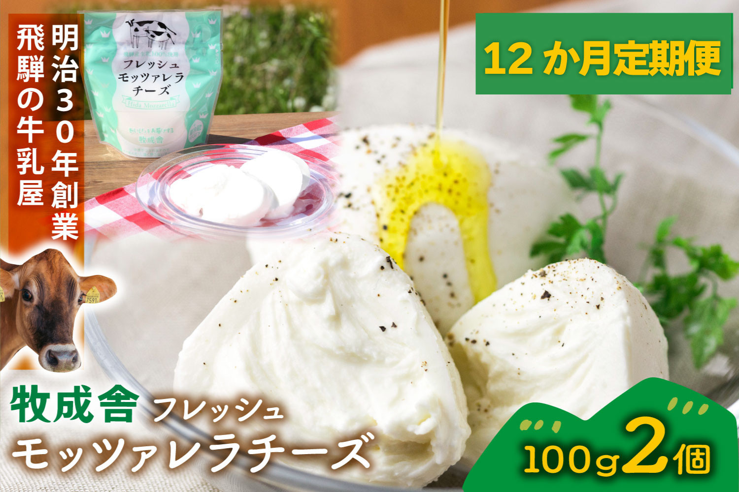 【12か月定期便】牧成舎のフレッシュモッツァレラチーズ2個 (有)牧成舎 DF223