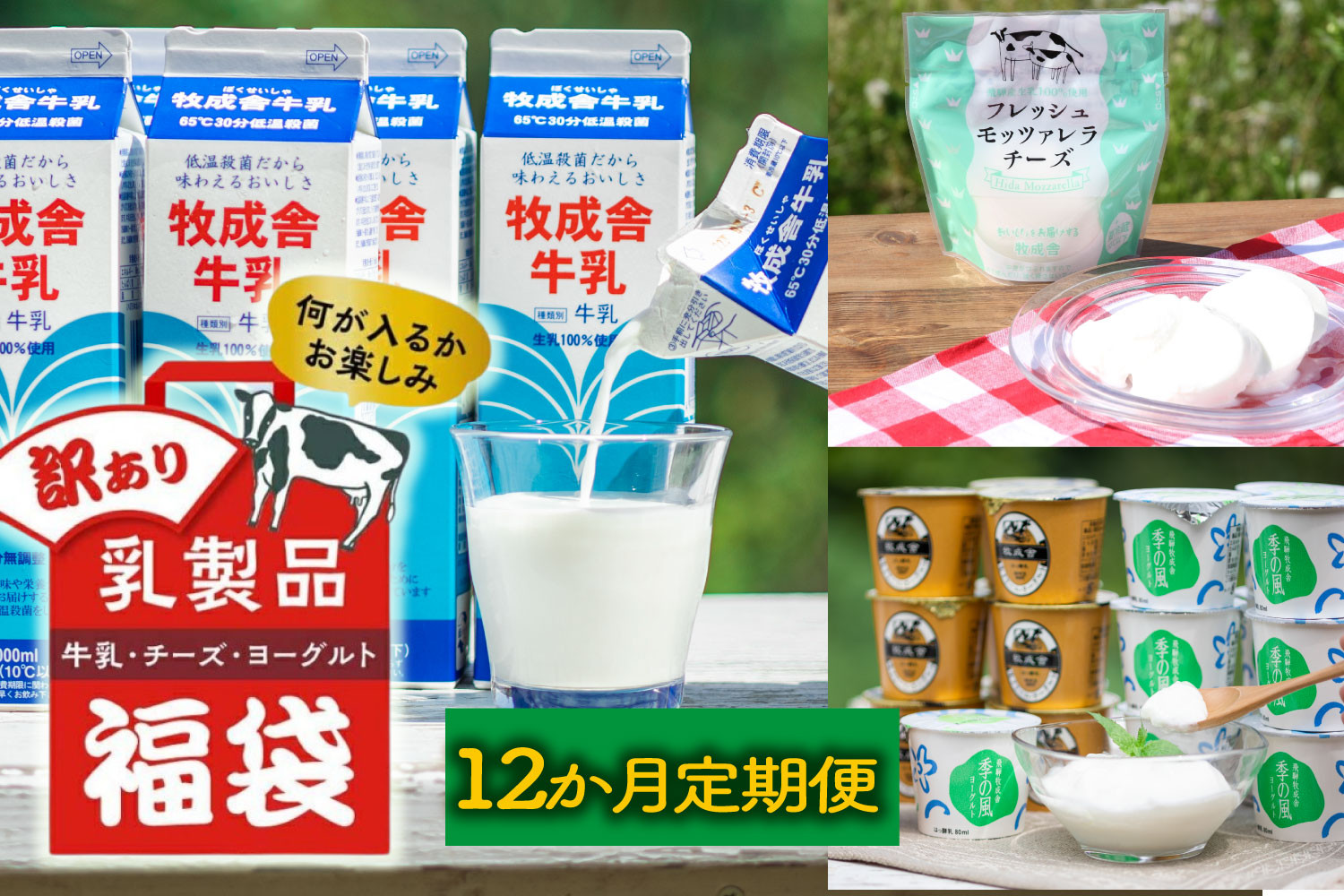 【12か月定期便】牧成舎の訳あり乳製品福袋（牛乳・ヨーグルト・チーズ詰め合わせ）訳あり 福袋 乳製品 チーズ 詰め合せ | 牧成舎 DF231