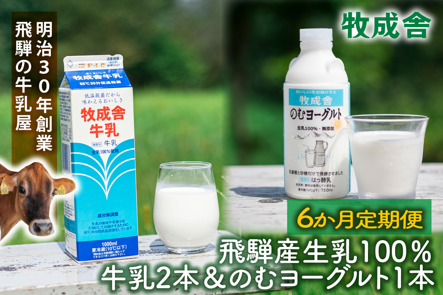 【6か月定期便】牧成舎の飛騨産低温殺菌牛乳と飲むヨーグルトセット｜牛乳1000ml×2本＋のむヨーグルト750ml×1本｜食品添加物不使用・お取り寄せ・健康習慣｜ (有)牧成舎 DF237