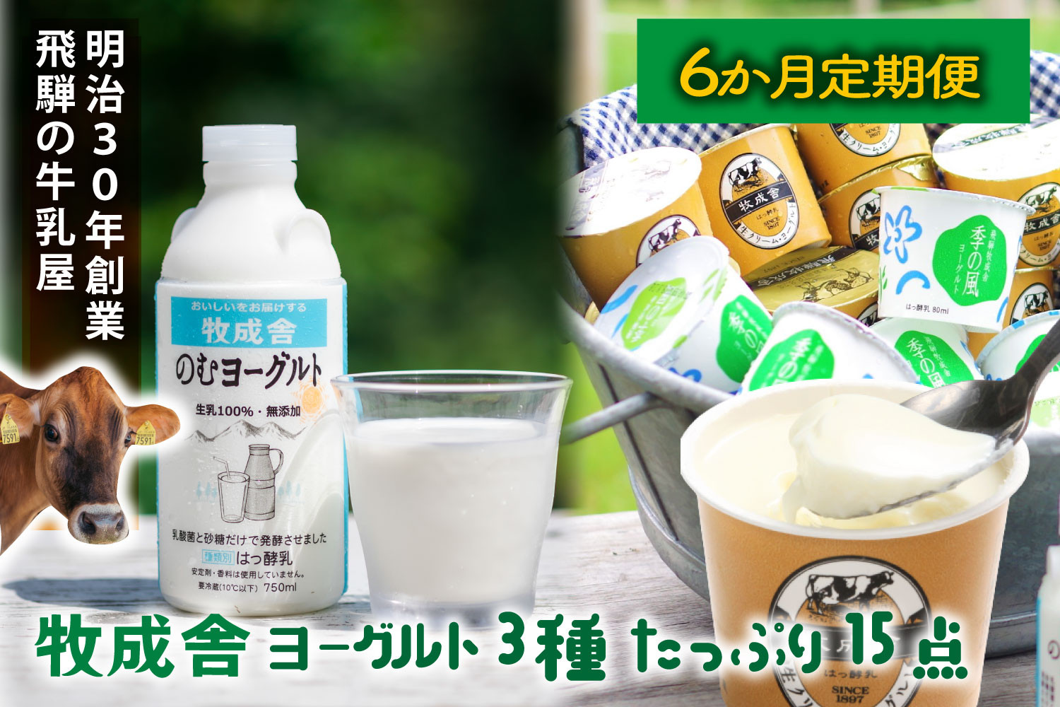 【6か月定期便】牧成舎のヨーグルトたっぷりセット｜のむヨーグルト750ml×3本・生クリームヨーグルト×6個・季の風ヨーグルト×6個｜飛騨産生乳使用・お取り寄せ 飛騨高山 ｜(有)牧成舎 DF241