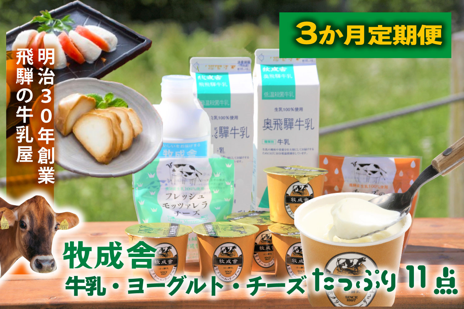 3か月定期便【飛騨乳製品バラエティセット】牛乳・ヨーグルト・チーズ詰め合わせ　11点セット ｜乳製品 習慣 詰合せ 家族 朝食  牧成舎 牧成舎 DF244