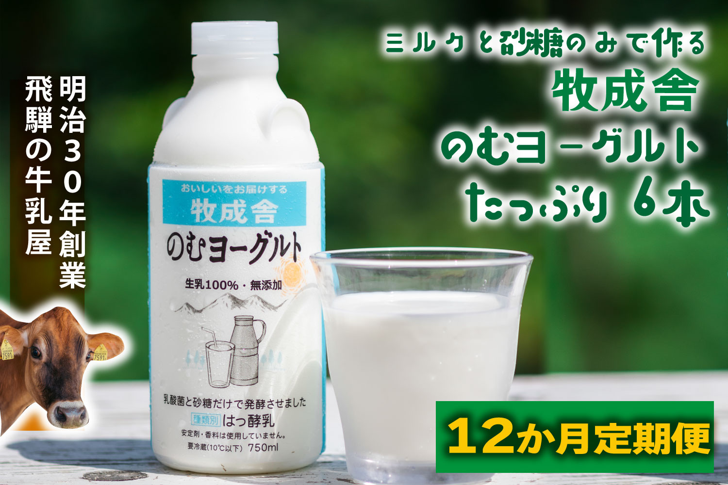 【12か月定期便】牧成舎のむヨーグルト 750ml×6本セット　飛騨産生乳使用｜乳製品 毎日習慣 素材 自然の恵み 乳飲料 (有)牧成舎 DF251