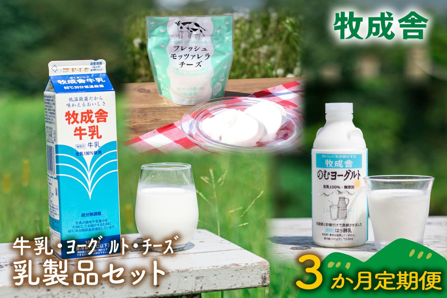【定期3か月便】牧成舎の牛乳・のむヨーグルト・モッツァレラセット（全3品）DF252