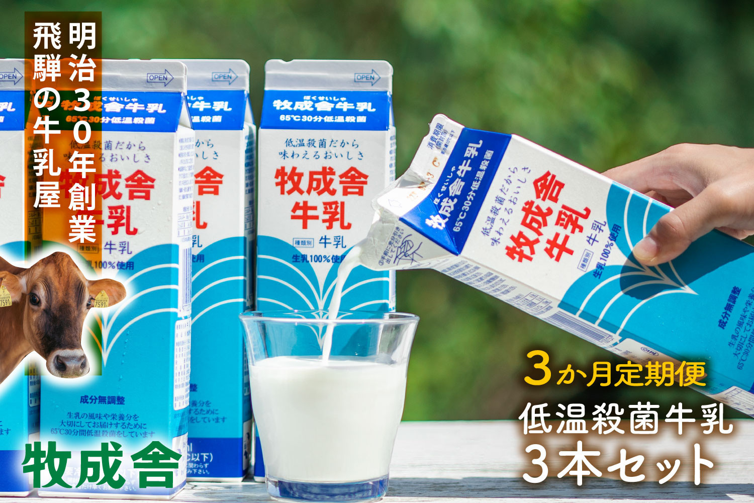 【定期3か月便】牧成舎牛乳1000ml×3本セット｜ミルク 乳製品 飲料 朝食 食生活 牧成舎 DF256