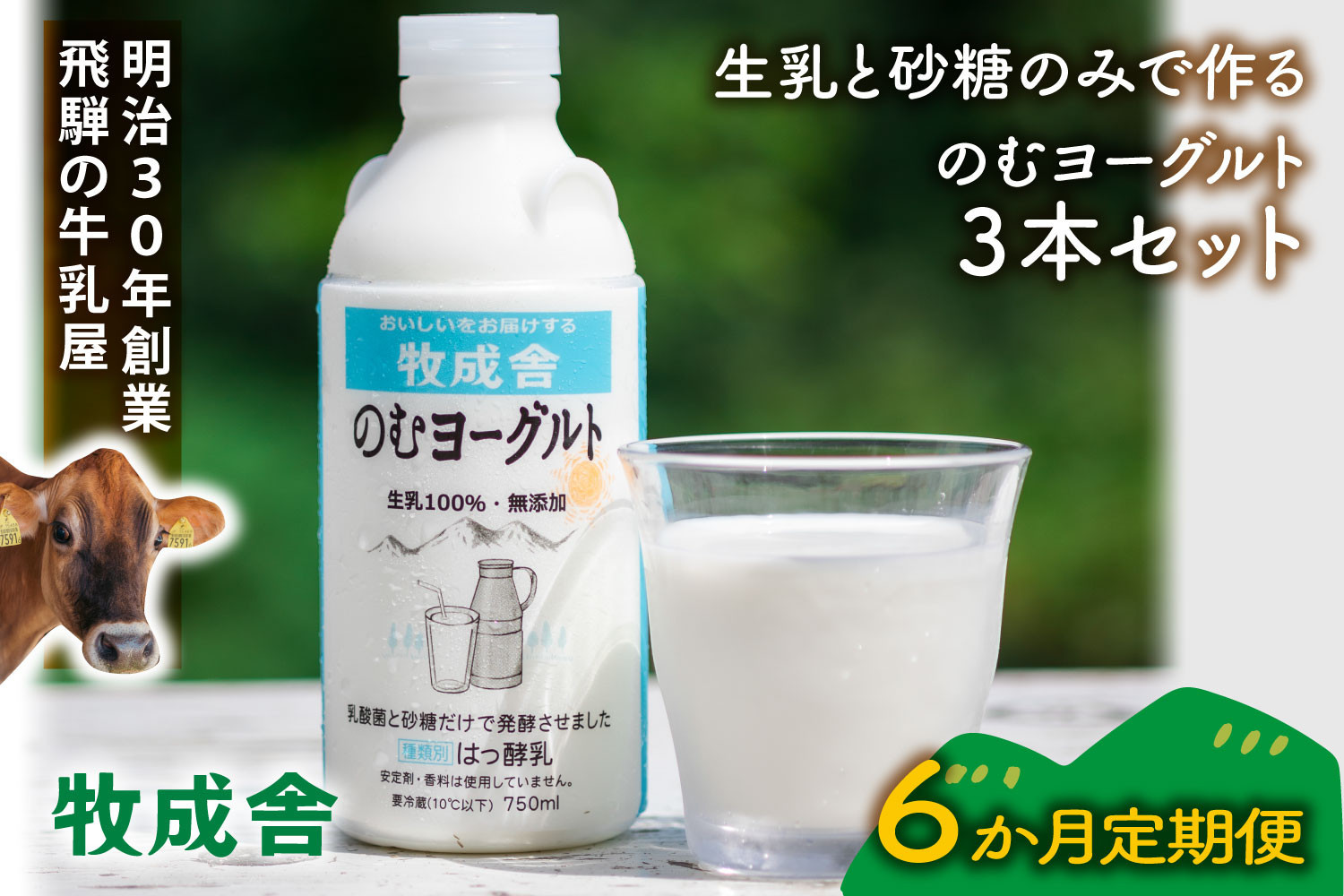 【定期6か月便】牧成舎のむヨーグルト750ml×3本セット｜ヨーグルト 乳製品 デザート 朝食 食生活 牧成舎DF261
