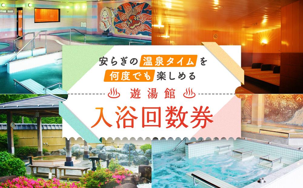 四十八滝温泉しぶきの湯遊湯館 入浴回数券12枚綴り 飛騨国府観光株式会社 EL002