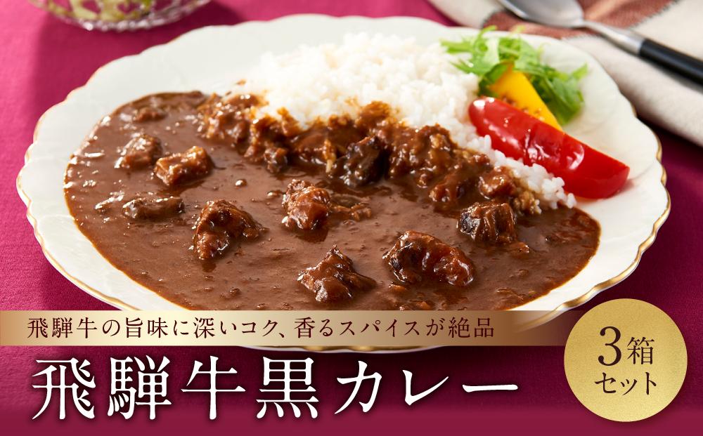 喜八郎謹製 リッチなコクの飛騨牛黒カレー（230g×3箱）| 焙煎スパイス薫る レトルト カレー 黒カレー 飛騨牛 スパイス 食品 山一商事 EN002