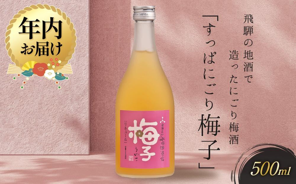 【12月配送】飛騨の地酒で造ったにごり梅酒「すっぱにごり梅子」 ｜年内発送 日本酒 梅 人気 おすすめ 有限会社舩坂酒造店　FB002VC12
