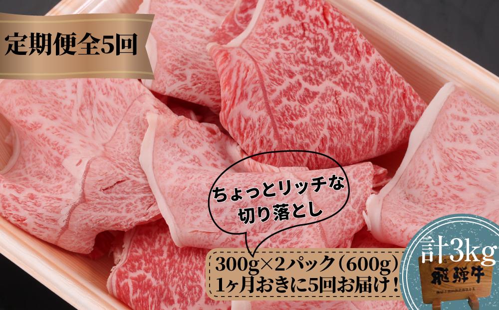 【定期便 隔月発送】全5回 飛騨牛ちょっとリッチな切り落とし（みすじ・ウデすき焼きしゃぶしゃぶ用）300g×2パックセット | 2か月に1回発送 飛騨牛 飛騨高山 切り落とし 肉 牛肉 みすじ ウデ しゃぶしゃぶ すき焼き 人気 飛騨牛のこもり FC102