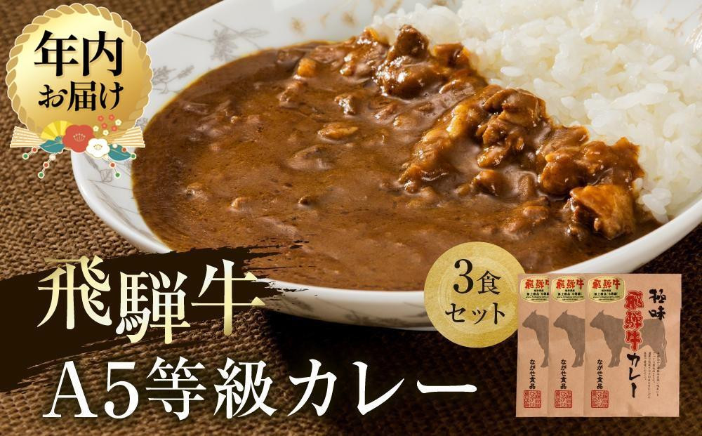 【12月発送】A5等級飛騨牛 カレー 3食セット | 年内発送 肉 レトルト 人気 飛騨高山 ながせ食品 FH006VC12