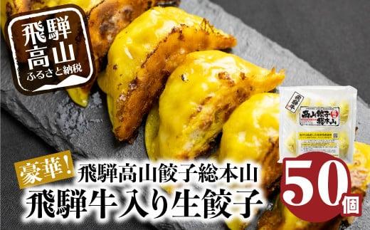 豪華！ 飛騨餃子 ファミリーパック 50個入り ＜ 生冷凍餃子 ・ 簡易包装 ＞ ぎょうざ ギョーザ 冷凍 冷凍餃子 飛騨高山 業務用 大容量 ニラ 飛騨牛 お取り寄せ 酒 つまみ FN004