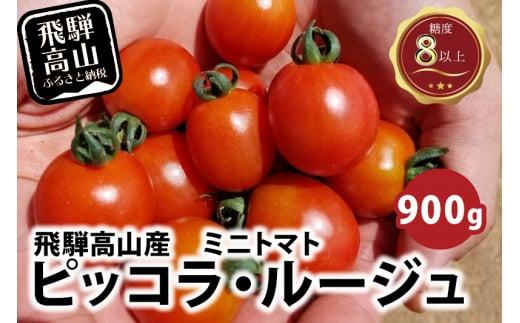 【先行予約】濃厚ミニトマト ピッコラ・ルージュ 900g | 減農薬栽培 フルーツトマト ミニトマト トマト 甘い 農家直送 産地直送 肉厚 糖度 高冷地  野菜 減農薬 飛騨高山 新葉ファーム FV008