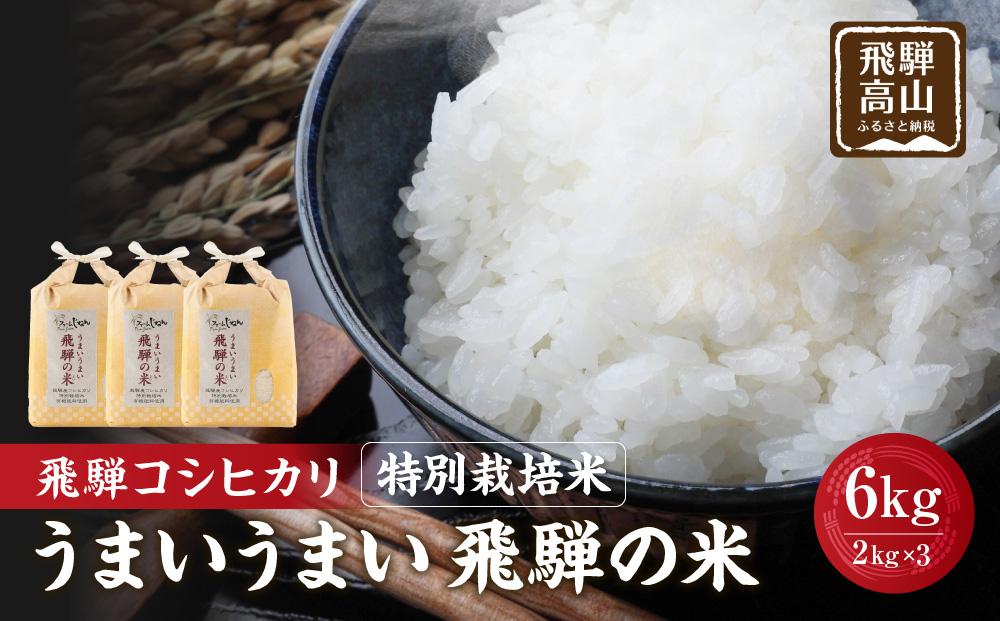 【令和7年産 新米】飛騨コシヒカリ 白米 6kg（2kg×3） 特別栽培米 うまいうまい飛騨の米 | こしひかり お米 精米したて 節減農薬米 のし対応 飛騨高山 ファームジネンいいむら GG005