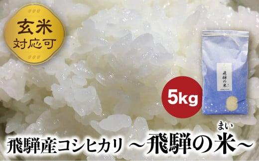 【令和7年産 新米】 飛騨産コシヒカリ 「飛騨の米」 白米（玄米対応可） 5kg  | 白米 玄米 こしひかり 精米 お米 飛騨高山 ファームジネンいいむら GG010