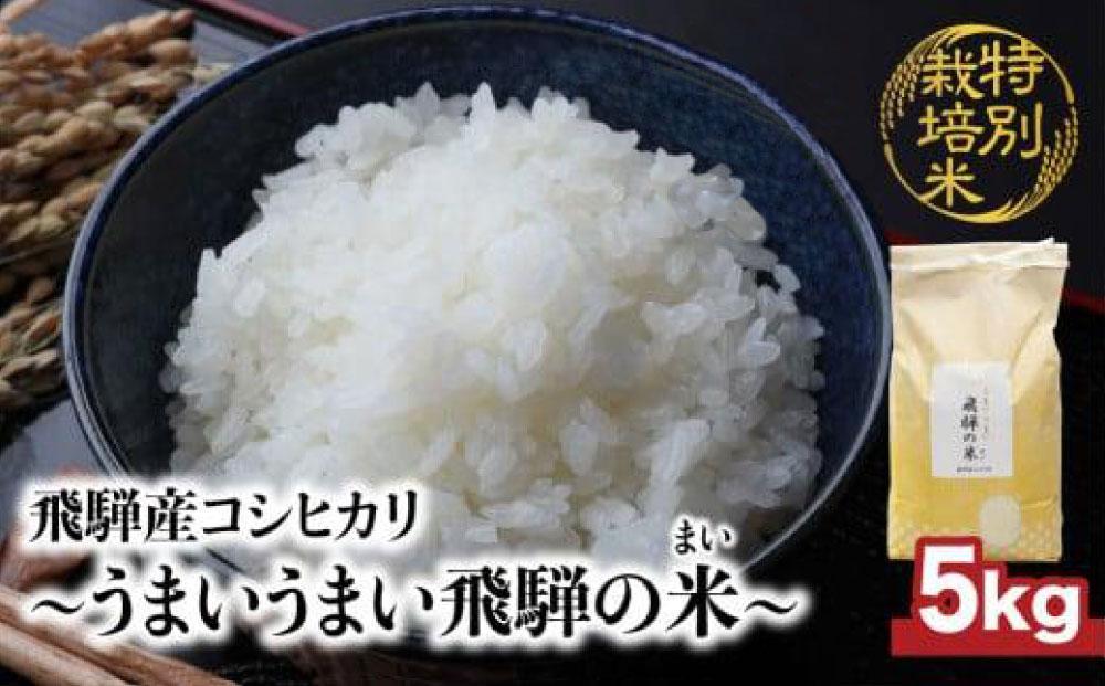 【令和7年産 新米】 飛騨産コシヒカリ 「うまいうまい飛騨の米」 白米 5kg | こしひかり 飛騨産 精米 お米 特別栽培米 飛騨高山 ファームジネンいいむら GG015