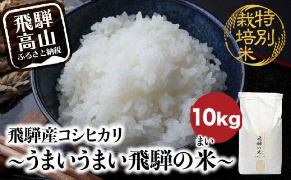 【令和7年産 新米】 飛騨産コシヒカリ白米 「うまいうまい飛騨の米」 白米 10kg | こしひかり 飛騨産 精米 お米 特別栽培米 飛騨高山 ファームジネンいいむら GG016