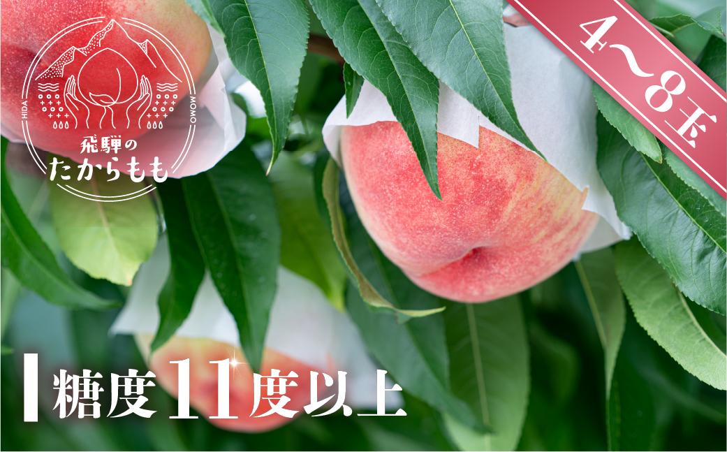 【2026年発送・先行受付】飛騨のたからもも 糖度11度以上（4-8玉）※7月中旬～順次お届け | 桃 朝採れ 白桃 もも フルーツ ギフト 果物 人気 おまかせ 飛騨桃 飛騨高山 つむぎ果樹園 GH006
