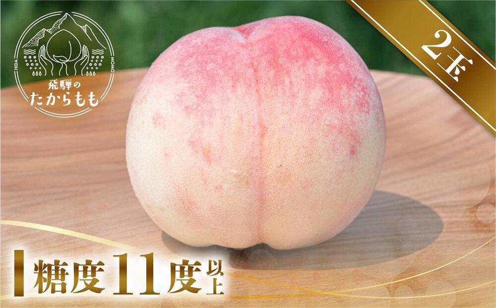 【2026年先行受付】飛騨のたからもも  糖度11度以上（2玉）| 朝採り 桃 もも 極上の甘さ 濃厚 甘い 贈答 農家直送 飛騨の朝採り桃 飛騨高山 つむぎ果樹園 GH012
