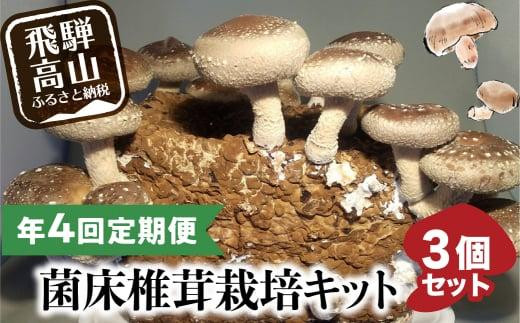 【11月発送開始】 定期便 菌床椎茸栽培キット 3個×全4回（11月・2月・5月・10月に発送）| しいたけ シイタケ 椎茸 栽培キット きのこ 栽培 菌床 しいたけ菌 椎茸菌 栽培ブロック 採れたて とれたて 夏休み 自由研究 園芸 食育 飛騨高山きのこの里 GK102VC11