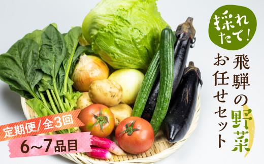 定期便 3ヶ月 飛騨の野菜 6～7点 野菜セット 3回 お届け 飛騨高山産 野菜  秋野菜 おまかせ お取り寄せ  産地直送 飛騨産 夏 秋 ふるさと納税定期便    GN100