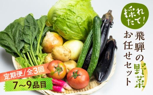 《定期便》3ヶ月 飛騨の野菜 7～9点 野菜セット 3回 お届け 飛騨高山産 野菜  秋野菜 おまかせ お取り寄せ  産地直送 飛騨産 夏 秋  サラダ    GN101