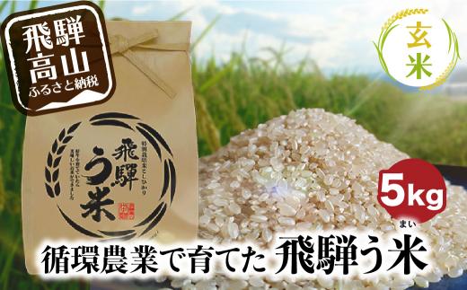 【数量限定】令和7年産 飛騨う米 玄米 5kg | 有機肥料100％ 米 お米 受賞米 米コン3年連続特別優秀賞受賞米 飛騨高山 株式会社拳 GW003