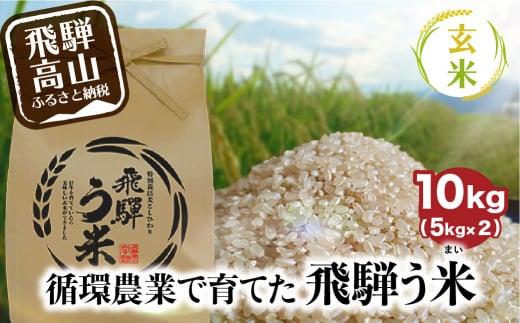 【数量限定】令和7年産 飛騨う米 玄米 10kg | 有機肥料 100％ 米 お米 受賞米 米コン3年連続特別優秀賞受賞米 飛騨高山 株式会社拳 GW004
