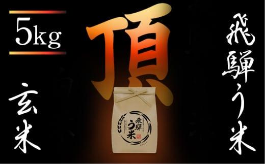 【数量限定】令和7年産 飛騨う米『頂』玄米 5kg | 有機肥料 100％ 米コン3年連続特別優秀賞受賞 米 こしひかり コシヒカリ 飛騨高山 株式会社拳 GW005