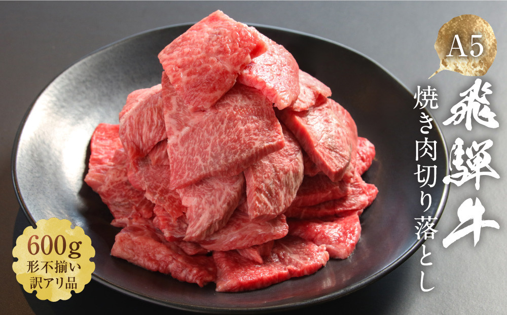 【形不揃い訳あり】A5等級飛騨牛 焼肉 切り落とし600g（冷凍配送）| 牛肉 肉 和牛 キャンプ 肉料理 ブランド牛 不揃い 人気 国産 お取り寄せ グルメ おすすめ 株式会社岩ト屋 HF045