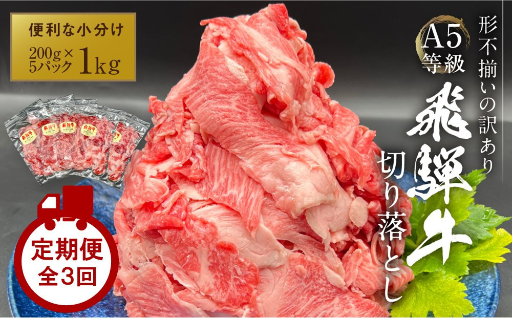 【定期便】 A5等級 飛騨牛 切り落とし 1kg（200g×5パック） 全３回｜小分け 肉 にく 切り落とし 飛騨牛  飛騨高山 岩ト屋 HF115