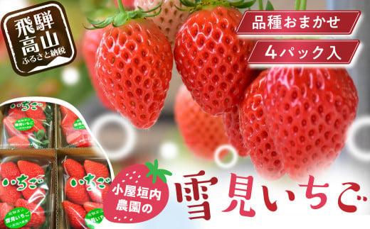 【2026年先行予約】雪見いちご 約200g×4パック | 糖度が高くてほどよい酸味 数量限定 イチゴ フルーツ 果物 いちご 品種おまかせ（紅かおり／山天王／他品種）飛騨高山 小屋垣内農園 JA002