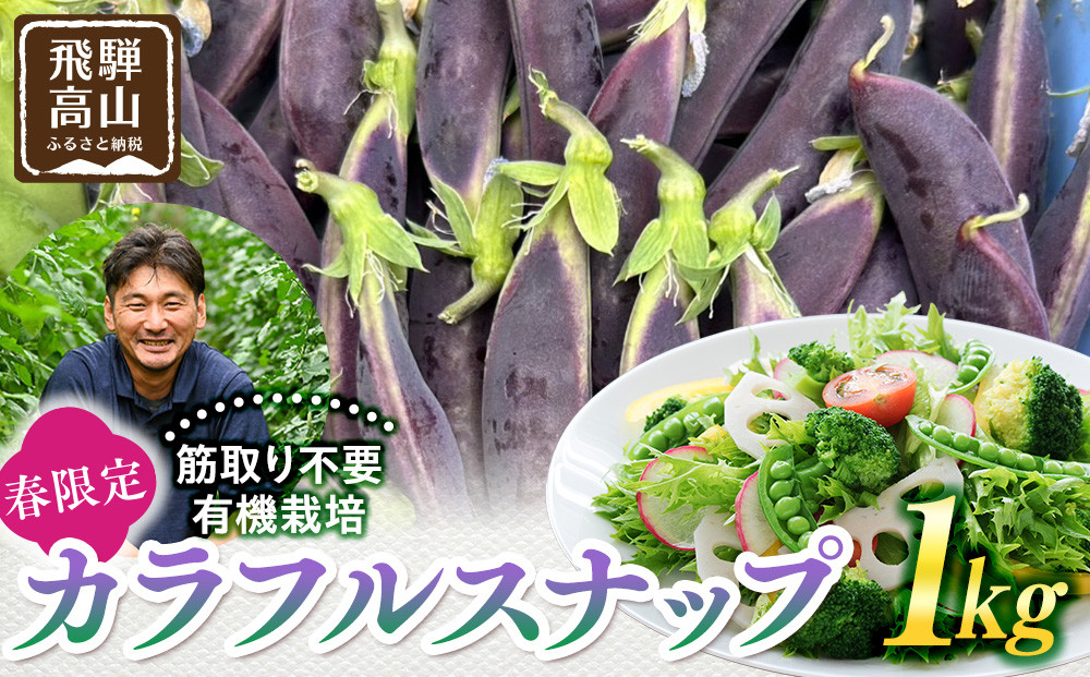 春の食卓を彩る 飛騨高山産 有機栽培スナップエンドウ 1kg（緑色・紫色の混合）（春限定・5〜6月発送）｜新鮮 春野菜 旬の味覚 えんどう 彩り野菜 山藏農園 JC020