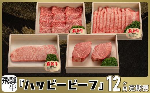 ハッピービーフ 【定期便】 飛騨牛 ブランド牛 Ａ5ランク ハッピープラス 飛騨高山 JQ100