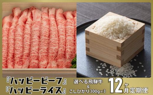 米 と 飛騨牛 【定期便】 12回 こしひかり コシヒカリ Ａ5等級 ブランド牛 12ヶ月 内祝い のし 熨斗 ハッピープラス 飛騨高山 JQ102