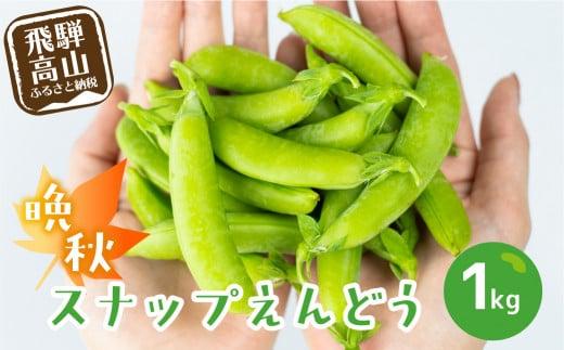 【数量限定】≪10月頃より発送開始≫ 飛騨高山産 希少！晩秋すくなスナッピー1kg ( スナップえんどう ) | 野菜 旬 新鮮 産地直送 期間限定 飛騨 高山 エンドウ 豆 スナックエンドウ えんどう豆 秋野菜 飛騨高山 宿儺さま KA002