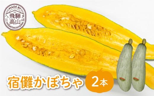 【数量限定】2025年 先行予約（9月頃より発送開始予定） 宿儺かぼちゃ 2本 | 南瓜 カボチャ 飛騨野菜 飛騨の特産品 野菜 数量限定 期間限定 飛騨高山 宿儺さま KA003