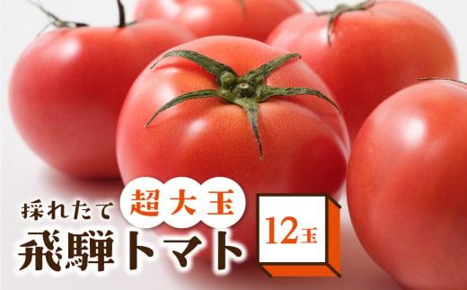 【数量限定】希少！！超大玉飛騨トマト 12玉 【8月頃～順次お届け】| とまと 大玉トマト 野菜 産地直送 珍しい 数量限定 期間限定 飛騨高山 宿儺さま KA009