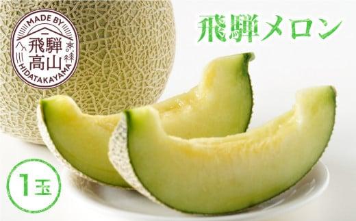 【数量限定】2025年先行予約 飛騨メロン 1玉 ≪8月頃～順次発送≫ | 飛騨高山産 メロン めろん 高冷地 果物 くだもの フルーツ 期間限定 数量限定 飛騨高山 宿儺さま KA012