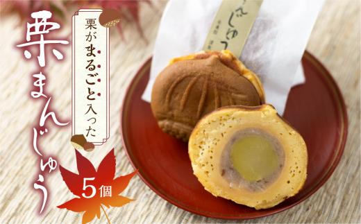 栗がまるごと入った 栗まんじゅう 5個 | おかし お菓子 和菓子 くり 栗 饅頭 まんじゅう お饅頭 おやつ お茶請け 冷凍 短冊熨斗のみ ギフト プレゼント バレンタイン ホワイトデー 母の日 飛騨高山 金亀館 KV005