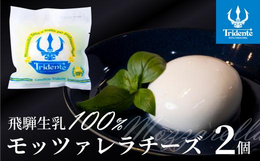飛騨生乳100％ モッツァレラチーズ 2個（1個125g）| チーズ モッツァレラ 冷蔵 個包装 カプレーゼ パスタ ピザ 前菜 サラダ 新鮮 生乳 国産 低温殺菌 乳製品 無添加 飛騨高山 チーズ工房トリデンテ LF001