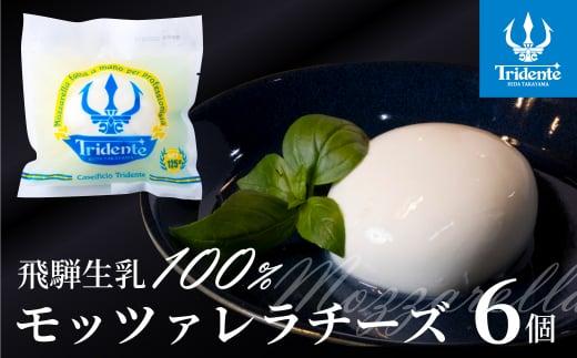 飛騨生乳100％ モッツァレラチーズ 6個（1個125g）| チーズ モッツァレラ 冷蔵  個包装 カプレーゼ パスタ ピザ  前菜 サラダ 新鮮 生乳 国産 低温殺菌 乳製品 無添加 飛騨高山 チーズ工房トリデンテ LF003