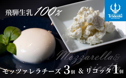 【寄附額見直しました！】飛騨生乳100％ モッツァレラ3個（1個125g） &  リコッタ 1個（100g）| セット チーズ モッツァレラ リコッタ 冷蔵  個包装 パスタ ピザ サラダ 新鮮 国産 低温殺菌 乳製品 無添加 飛騨高山 チーズ工房トリデンテ LF004