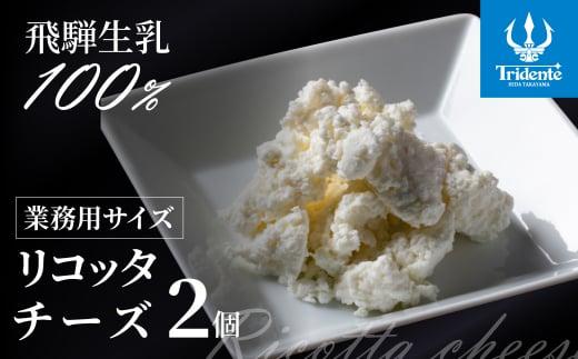 飛騨生乳100％ リコッタチーズ 2個（1個250g）| リコッタ 冷蔵 サラダ お菓子 前菜 サラダ 新鮮 生乳 国産 低温殺菌 乳製品 無添加 大容量 業務用サイズ 飛騨高山 チーズ工房トリデンテ LF006