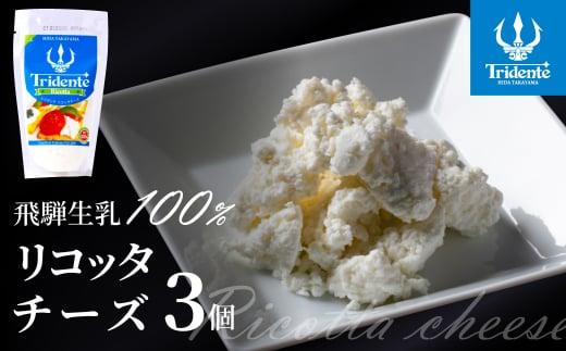 飛騨生乳100％ リコッタチーズ ３個（1個100g）| リコッタ 冷蔵 サラダ お菓子 前菜 サラダ 新鮮 生乳 国産 乳製品 無添加 飛騨高山 チーズ工房トリデンテ LF009